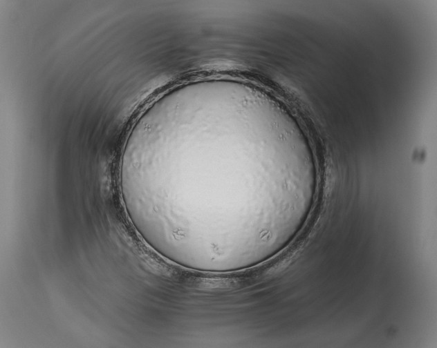 X0000114541305200911091124