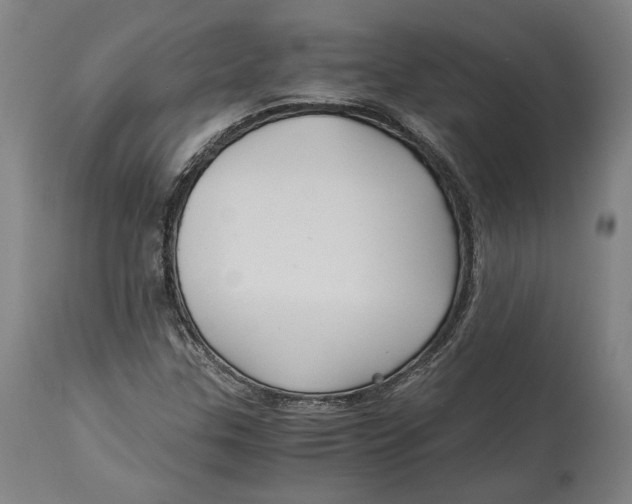 X0000114541307200911091124