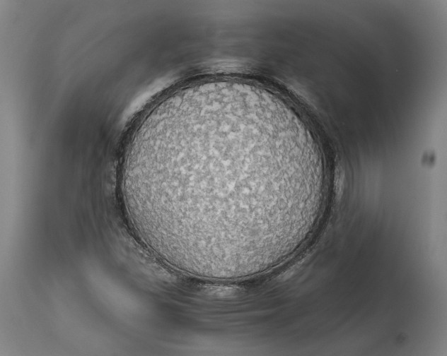 X0000114541309200911091124