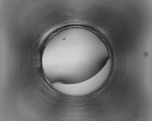 X0000114541310200911091124