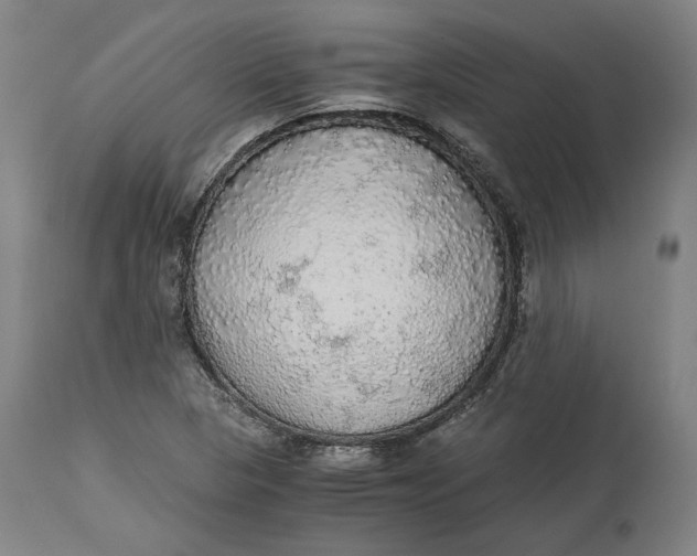 X0000114541313200911091124