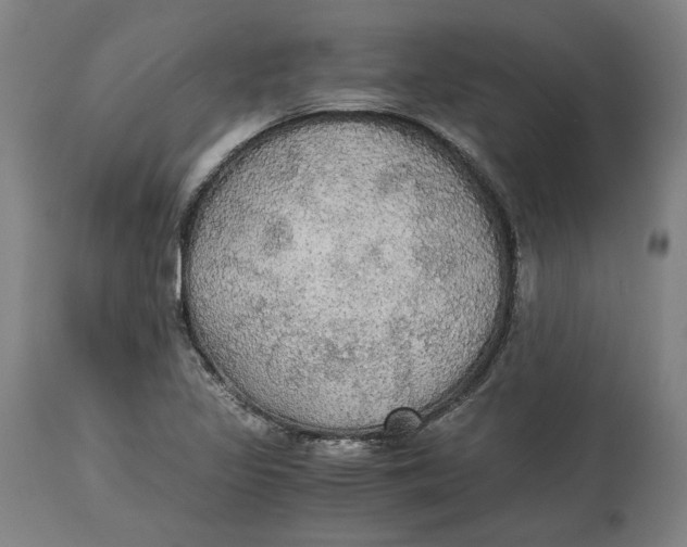 X0000114541317200911091124