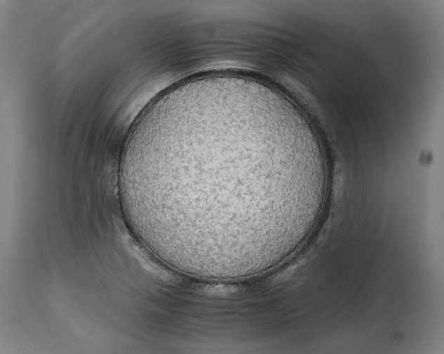 X0000114541321200911091124