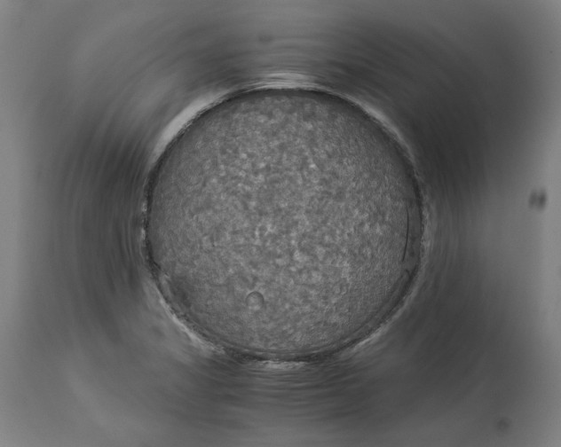 X0000114541325200911091124