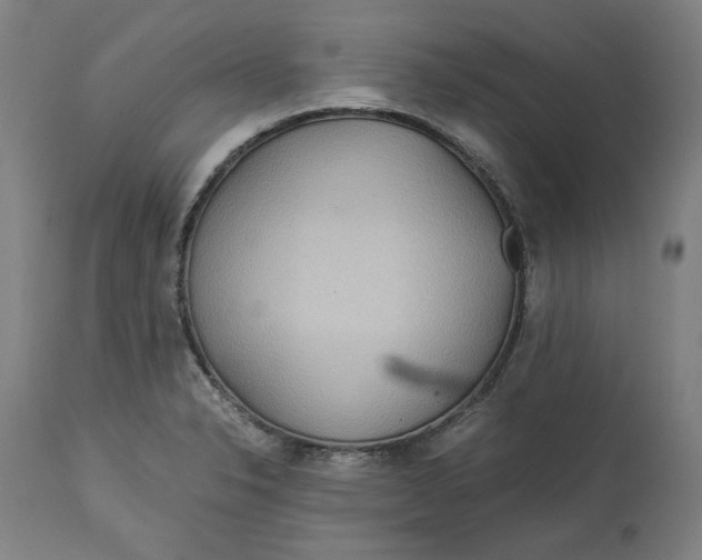 X0000114541326200911091124