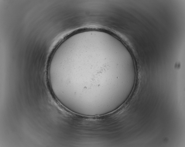 X0000114541327200911091124