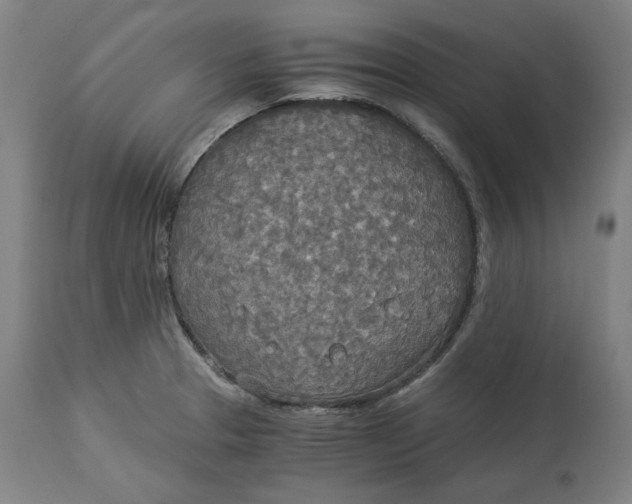 X0000114541329200911091124