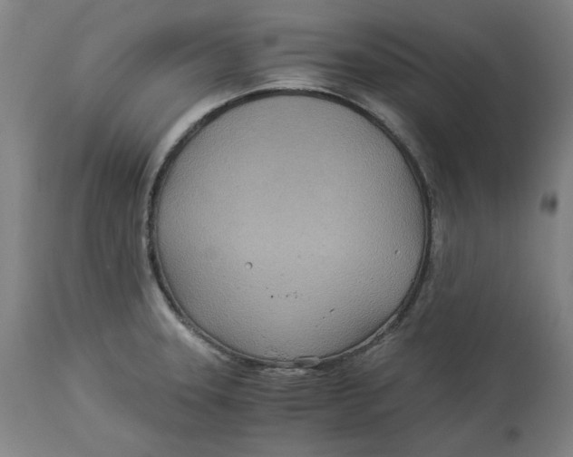 X0000114541331200911091124