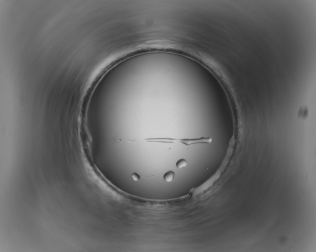 X0000114541334200911091124