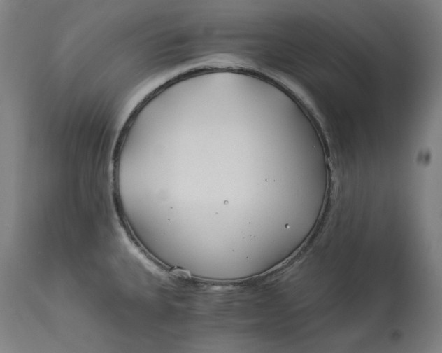 X0000114541335200911091124