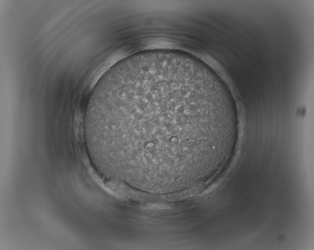 X0000114541337200911091124