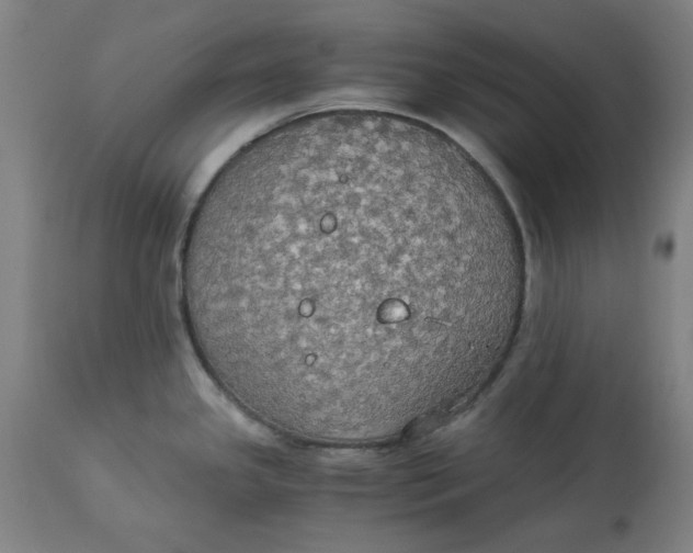 X0000114541341200911091124