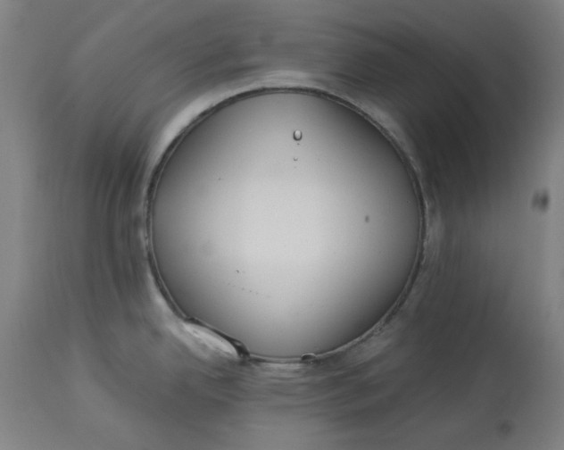 X0000114541342200911091124