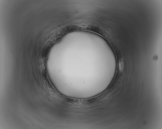 X0000114541347200911091123