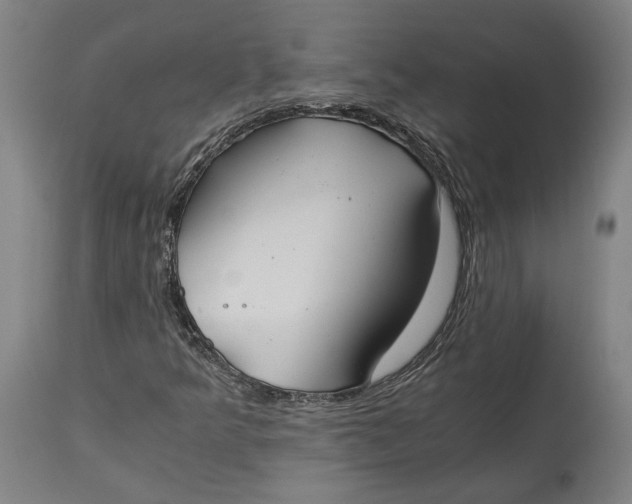 X0000114541349200911091123