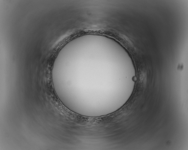 X0000114541350200911091123