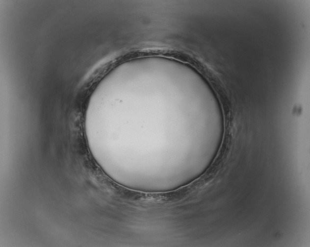 X0000114541351200911091123