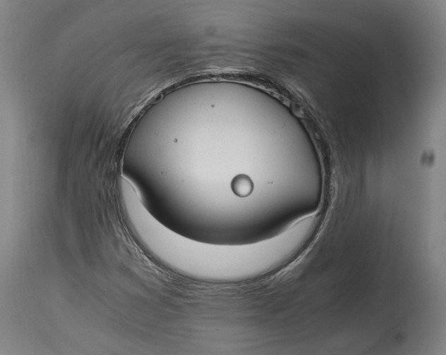 X0000114541353200911091123