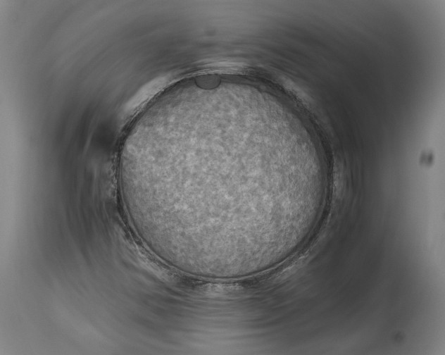 X0000114541354200911091123