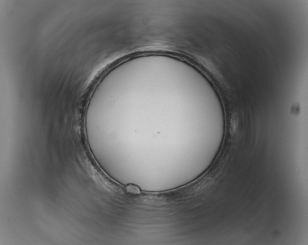 X0000114541356200911091123