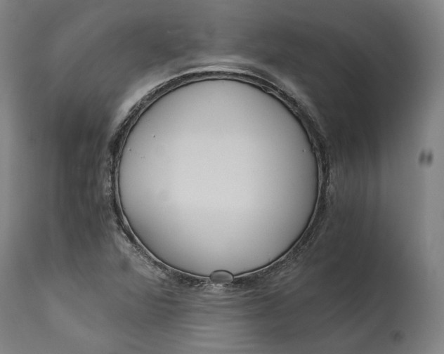 X0000114541360200911091123