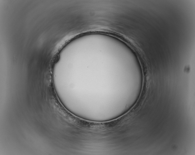 X0000114541363200911091123