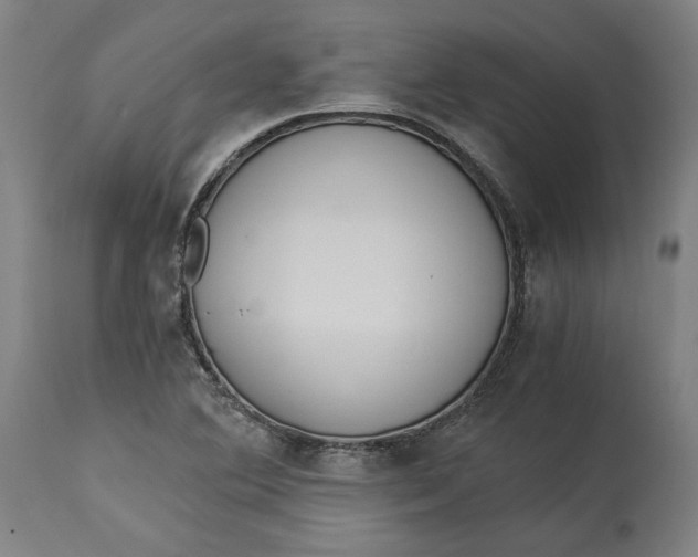 X0000114541364200911091123