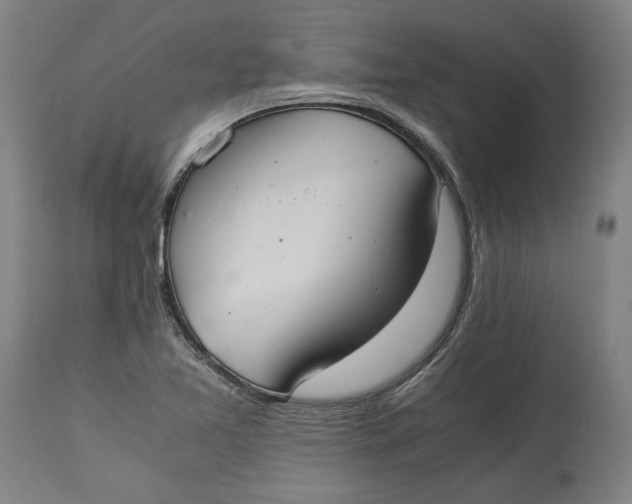 X0000114541365200911091123