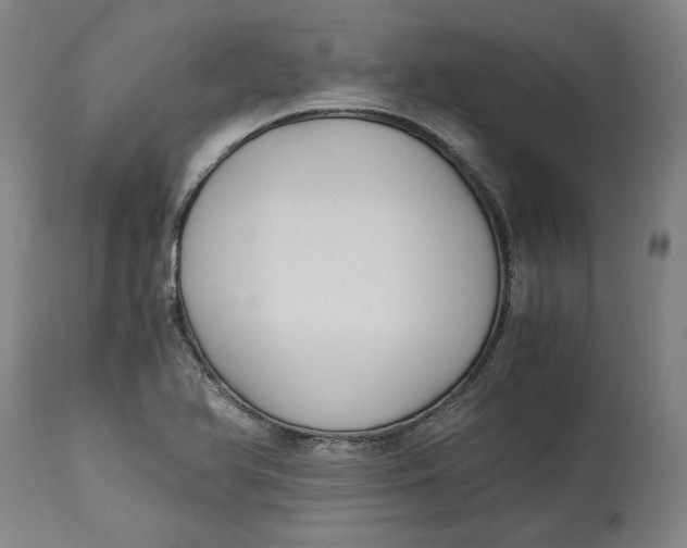 X0000114541366200911091123