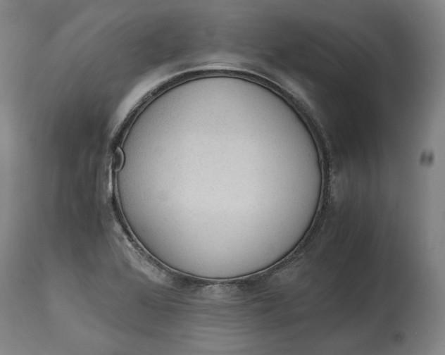 X0000114541368200911091123