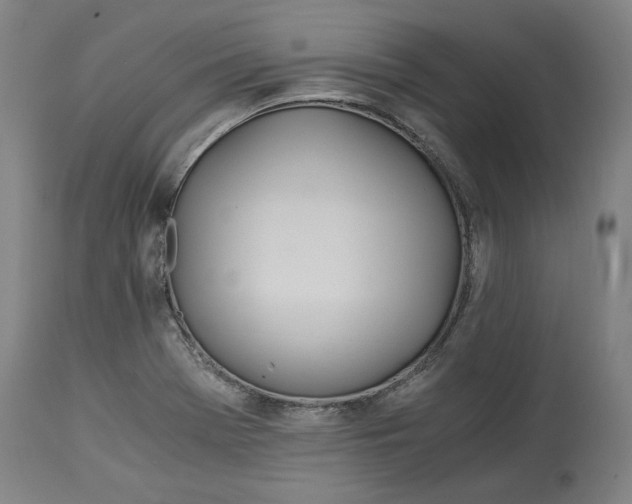 X0000114541369200911091123