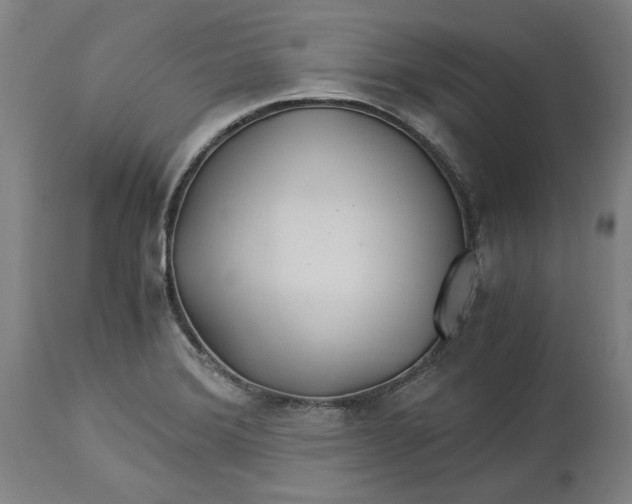 X0000114541372200911091123