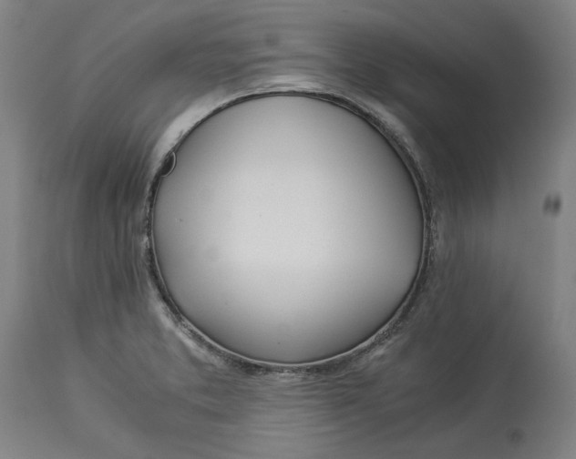 X0000114541373200911091123