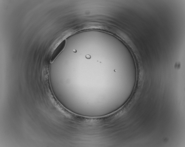 X0000114541377200911091123