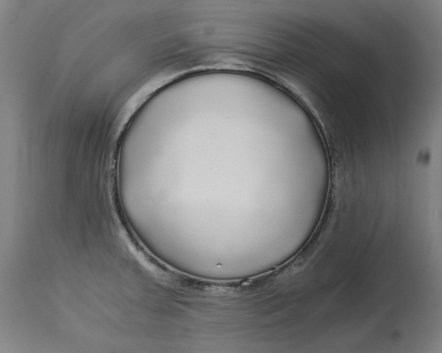 X0000114541379200911091123