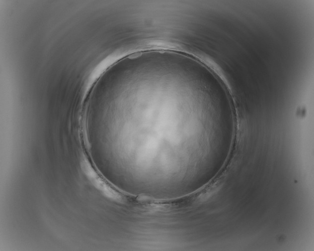 X0000114541381200911091123