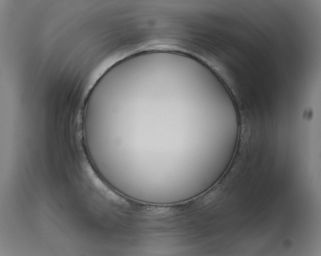 X0000114541382200911091123