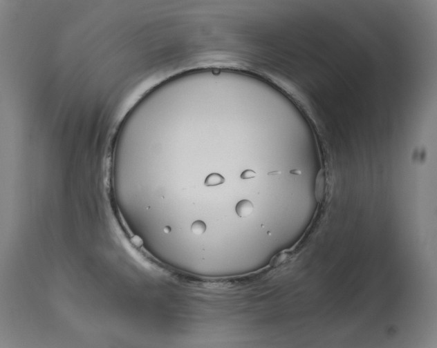 X0000114541383200911091123