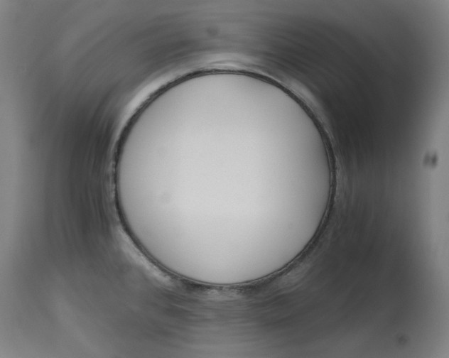 X0000114541384200911091123