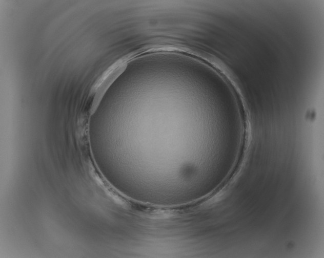 X0000114541385200911091123