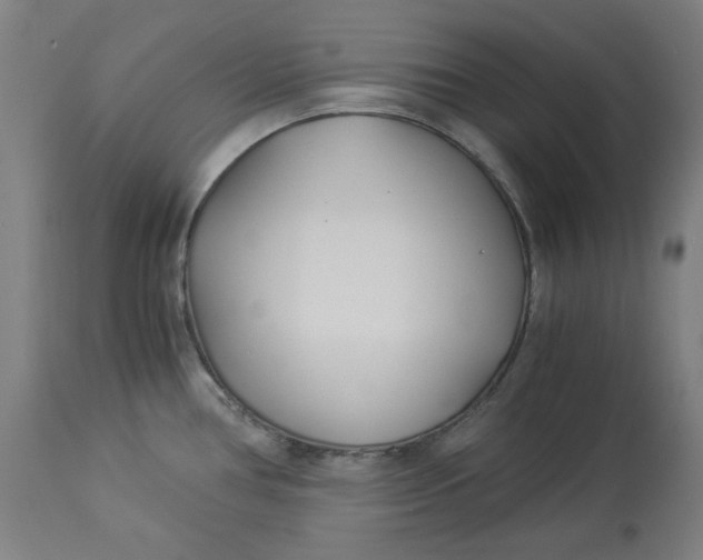 X0000114541386200911091123