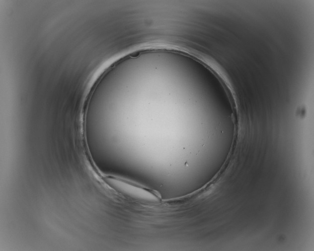 X0000114541388200911091123