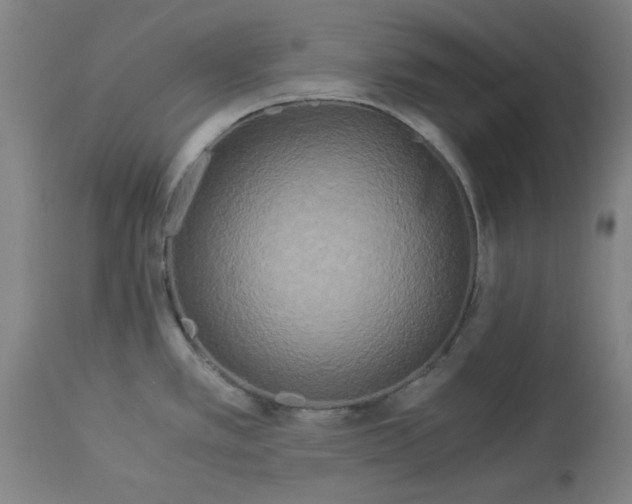 X0000114541389200911091123