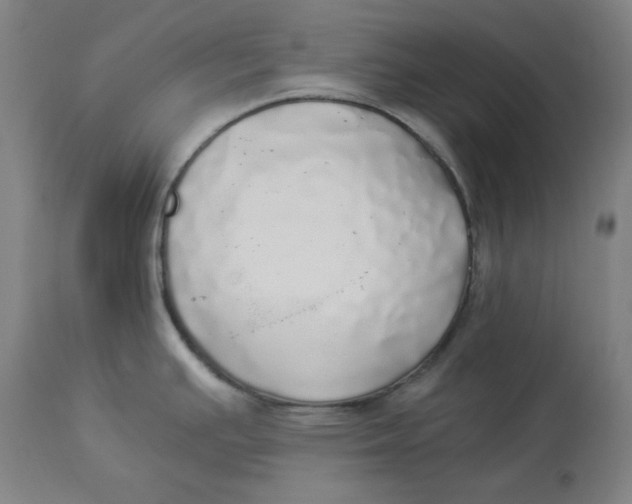 X0000114541391200911091123