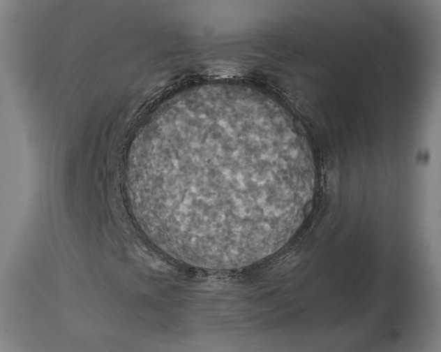 X0000114541393200911091122