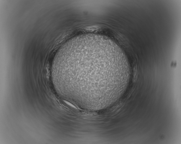 X0000114541394200911091122