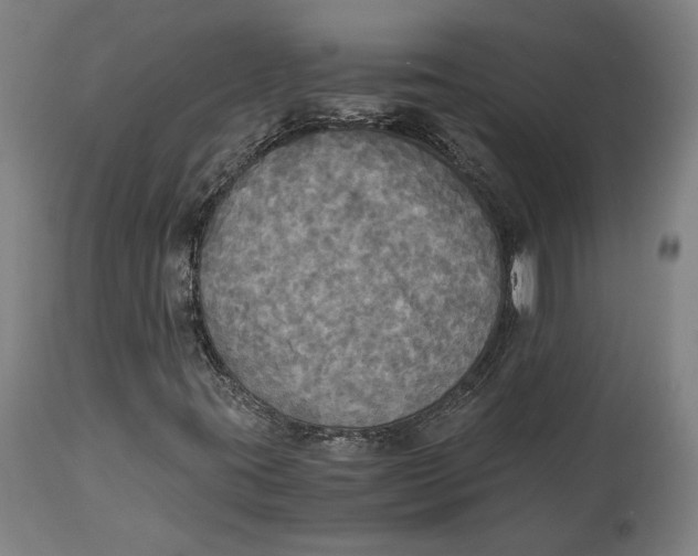 X0000114541395200911091122