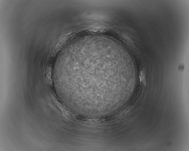 X0000114541396200911091122