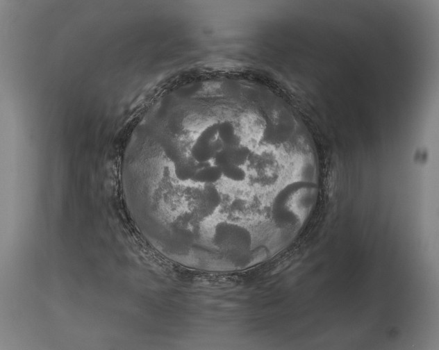 X0000114541397200911091122