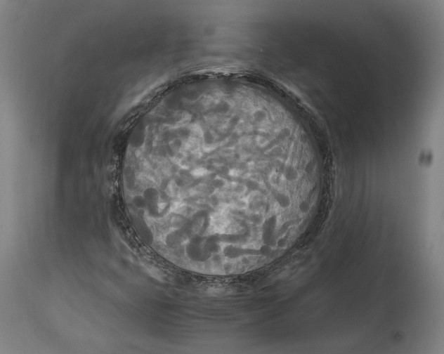 X0000114541399200911091122